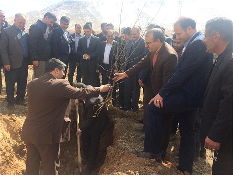 کاشت نهال توسط مدیرعامل و اعضای هیئت مدیره شرکت گاز استان مرکزی در مراسم جشن روز درختکاری