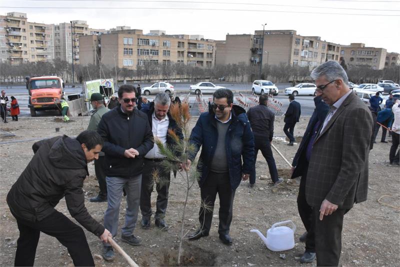 کاشت نهال توسط مدیر عامل و کارکنان شرکت گاز استان مرکزی در مراسم جشن روز درختکاری
