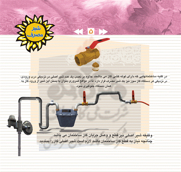 ایمنی8