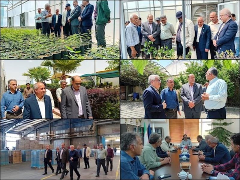 بازدید مدیرعامل شرکت گاز استان مرکزی از گلخانه‌های شهر آوه و کارخانه کاشی‌سازی سینا