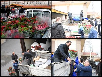 توزیع گل در بین کارکنان شرکت گاز استان مرکزی همزمان با میلاد با سعادت حضرت علی (ع) و روز پدر