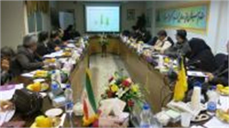 جلسه کارگروه تدوین توسعه روستایی استان مرکزی در سالن جلسات شرکت گاز استان مرکزی تشکیل شد.