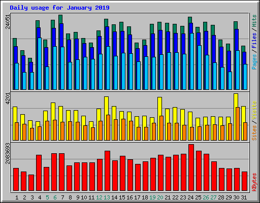 Daily usage for January 2019