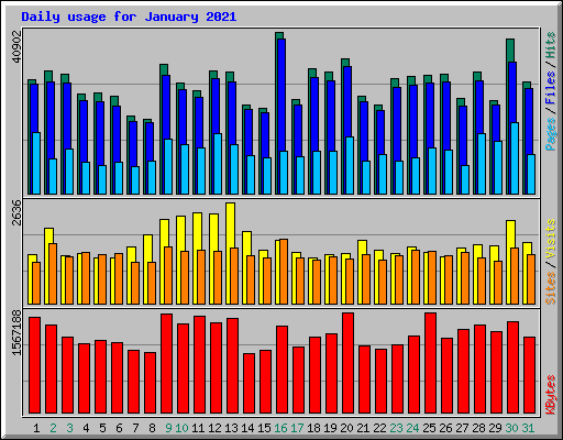 Daily usage for January 2021