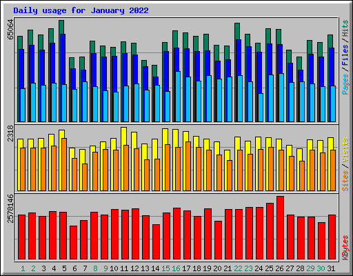 Daily usage for January 2022