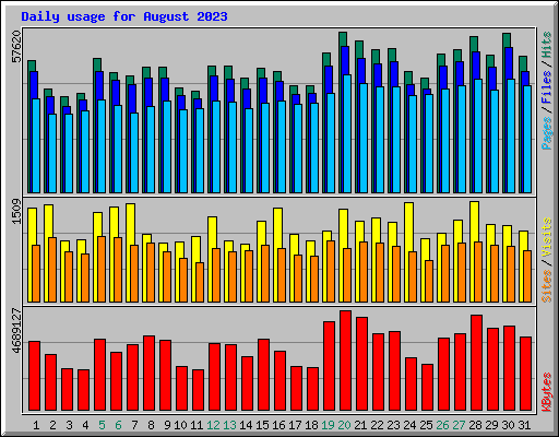 Daily usage for August 2023