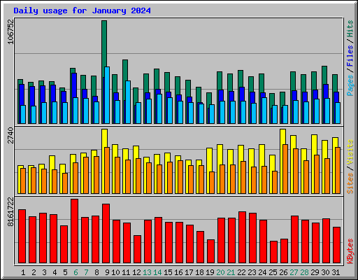 Daily usage for January 2024