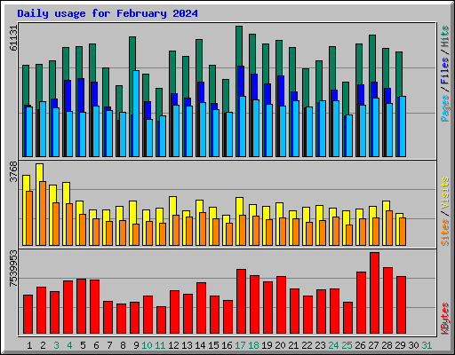 Daily usage for February 2024