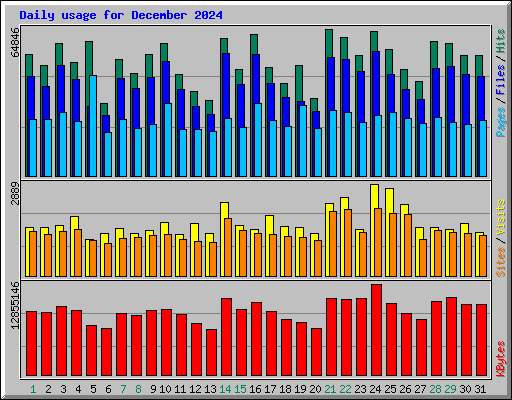 Daily usage for December 2024