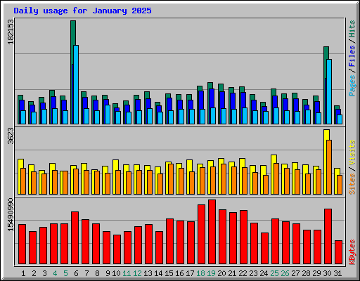 Daily usage for January 2025