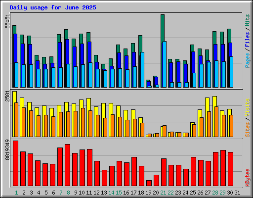 Daily usage for June 2025