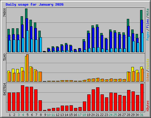 Daily usage for January 2026