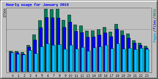 Hourly usage for January 2019