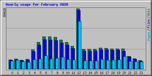 Hourly usage for February 2020