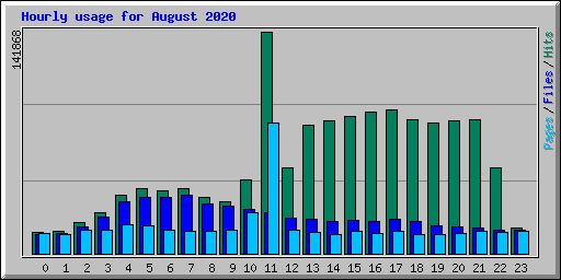 Hourly usage for August 2020