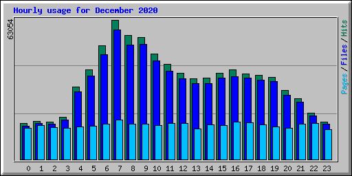 Hourly usage for December 2020