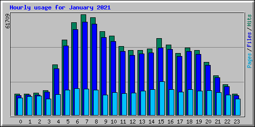Hourly usage for January 2021