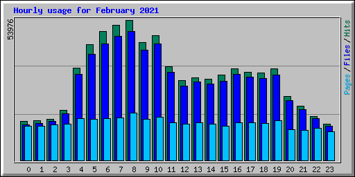 Hourly usage for February 2021