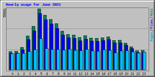 Hourly usage for June 2021