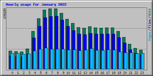 Hourly usage for January 2022