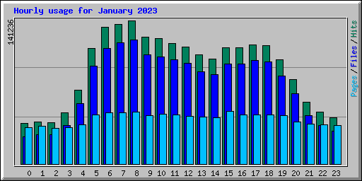 Hourly usage for January 2023