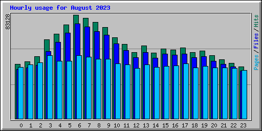 Hourly usage for August 2023