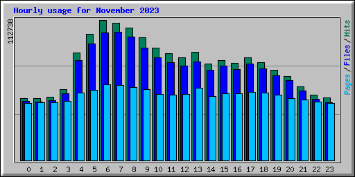 Hourly usage for November 2023