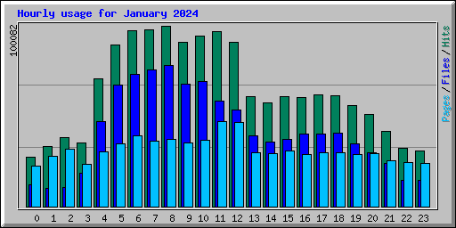 Hourly usage for January 2024