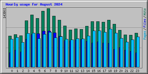 Hourly usage for August 2024