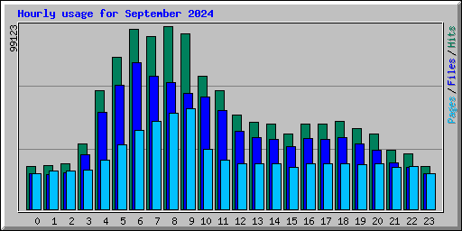 Hourly usage for September 2024