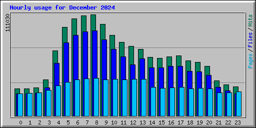 Hourly usage for December 2024