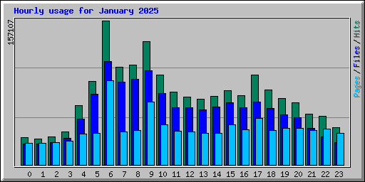 Hourly usage for January 2025