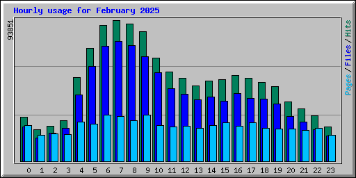 Hourly usage for February 2025