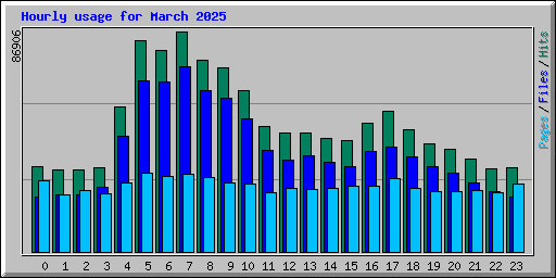 Hourly usage for March 2025