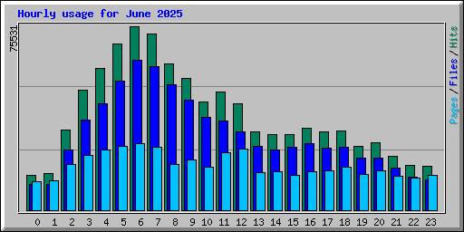 Hourly usage for June 2025