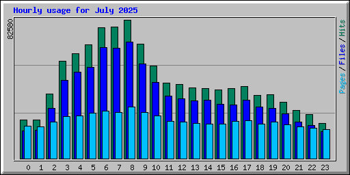 Hourly usage for July 2025