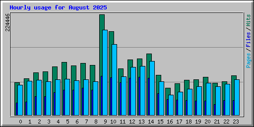 Hourly usage for August 2025