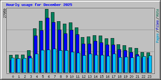 Hourly usage for December 2025