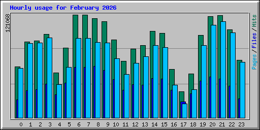 Hourly usage for February 2026