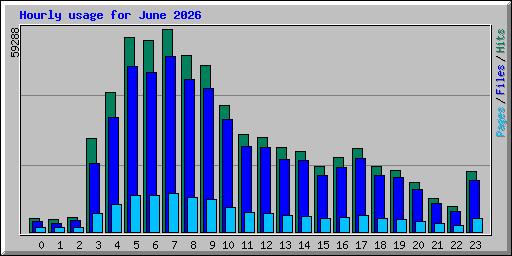 Hourly usage for June 2026